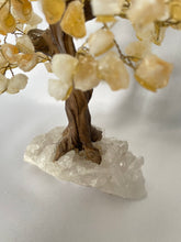 Load image into Gallery viewer, Citrine Tree on Quartz base

